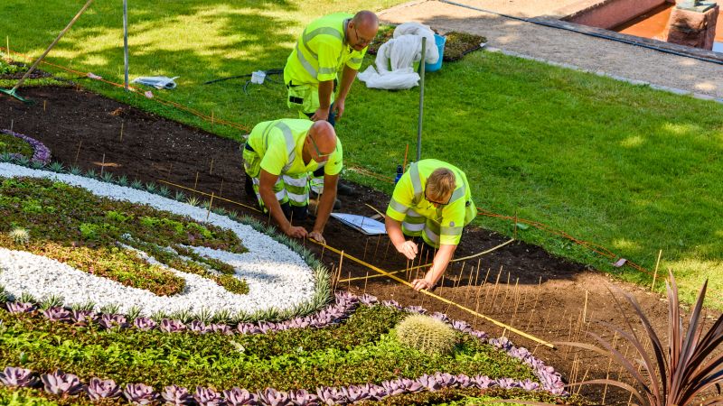 Garden Landscaping detail